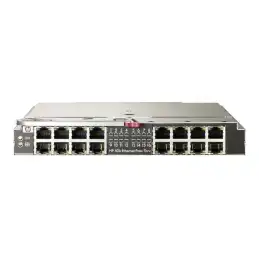 HPE 1Gb Ethernet Pass-Thru Module - Module d'extension - Gigabit Ethernet x 16 - pour BLc3000 Enclosure ... (406740-B21)_2